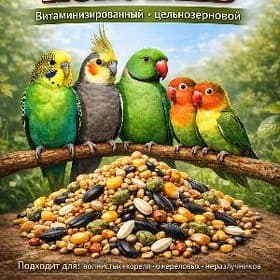 для птиц попугай