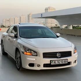 Nissan Maxima 2013