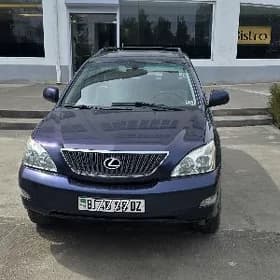 Lexus RX 330 2004