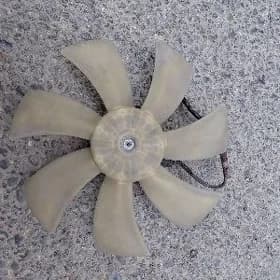 lopus motorcigi