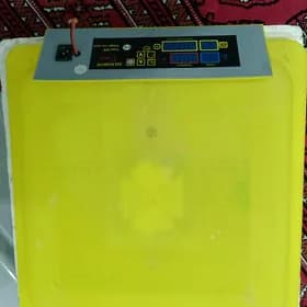 inkubator