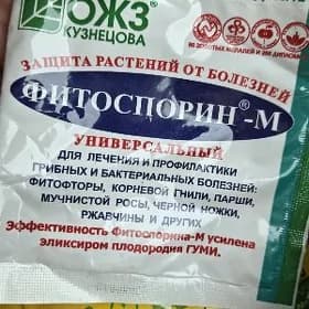 комнатные растения удобрения