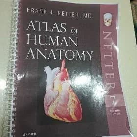 Netter anatomiya