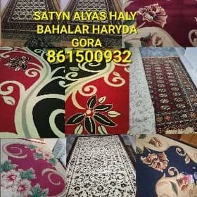 🌻HALY SATYN ALYAS🌻