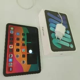 iPad mini 6