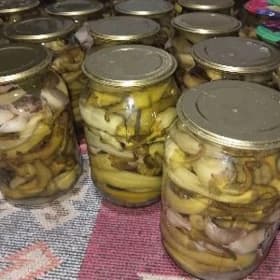 Banka yapykly
