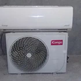 ICongo kansaner