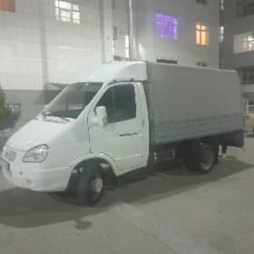 gazel