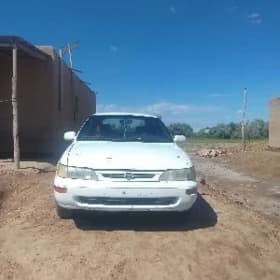Toyota Corolla 1995