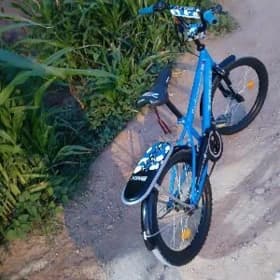 welisiped