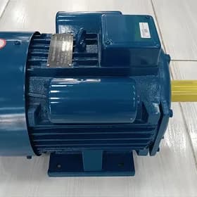 Elektrodwigatel elektromotor