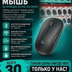 Мышки
