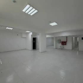 ARENDA GURTLY PODWAL