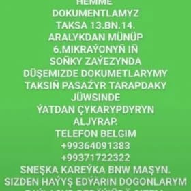 Dokument yitdi