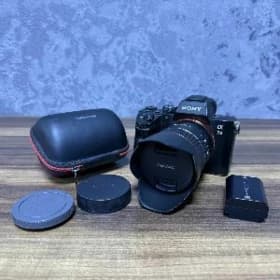 Sony a 73 we samyang 24lik