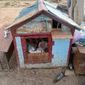𝙆𝙚𝙥𝙙𝙚𝙧𝙞 𝙮𝙖𝙩𝙖𝙠