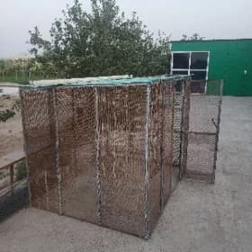 Tovuk ketek