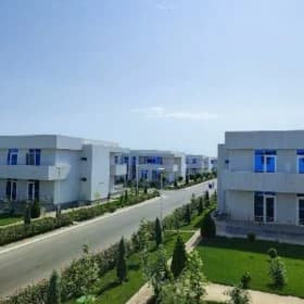 Awaza rowach kotej