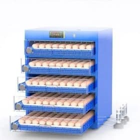 inkubator