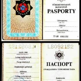 паспорт йитди, Денев йолда