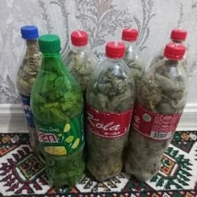 uzum yapragy
