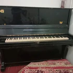 pionino