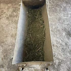 ım ahyr