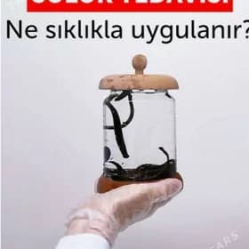 sùlùk пиявка
