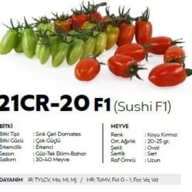 Sushi cerri pomidor tohum