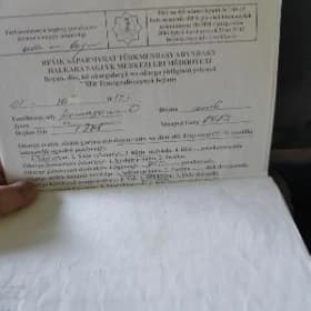 Ромашова О