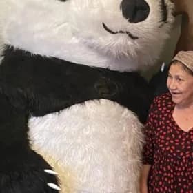 panda