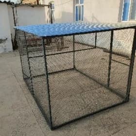 Towuk ketek