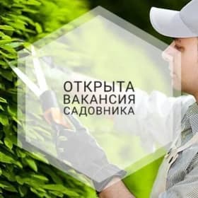 BAGBAN GEREK ( садовник нужен)