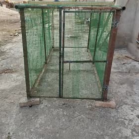 Ketek