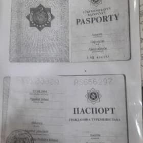 pasport prawa yitdi