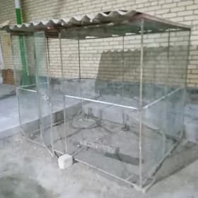 ketek