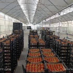 işgär gözleýäs gelin gyz