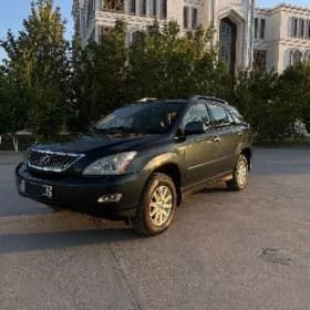 Lexus RX 330 2004
