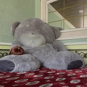 мишка