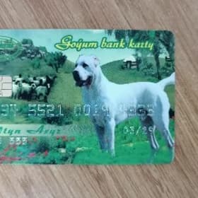Goýum kart Türkmenistan bank