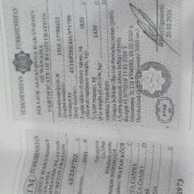 техпаспорт