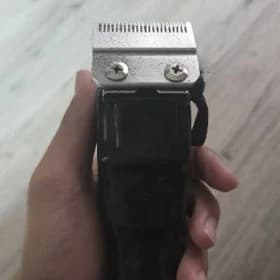Wahl