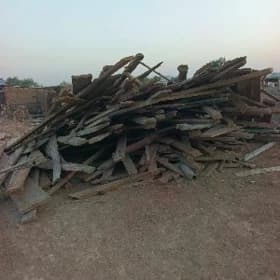 Arassa polluk agaç