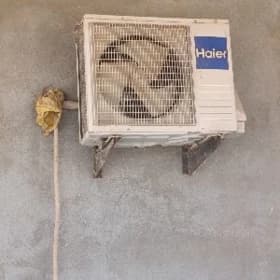 Haier