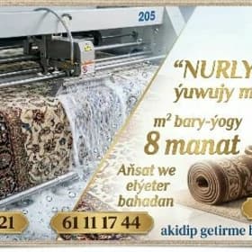 HALY MOYKA HIMCISTKA!