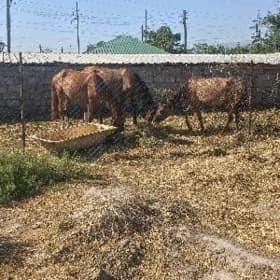 At