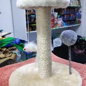 Когтеточка