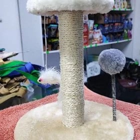Когтеточка