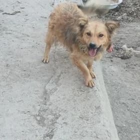 it