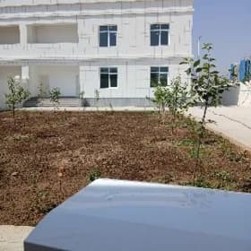 İş Gözleýän